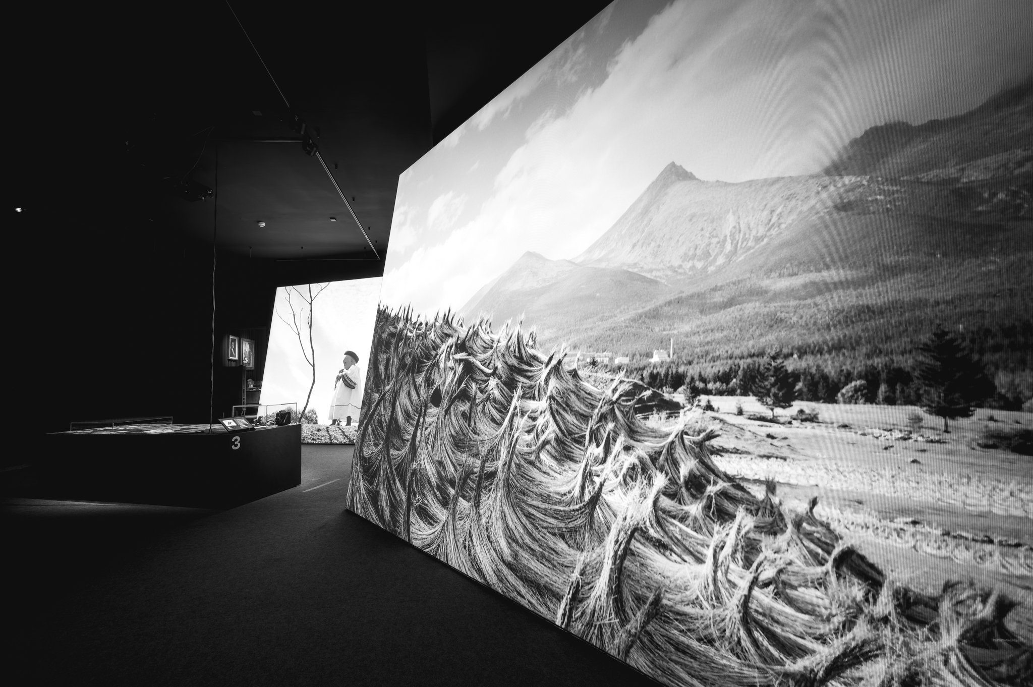 NZ6 2332 DxO DeepPRIME XD2s